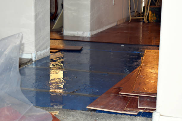 Professional Water Extraction technician working in Burlington, NJ